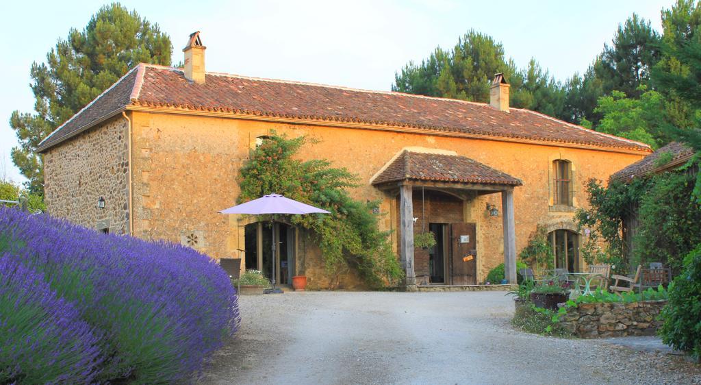 Chambres D'Hotes Leone Haute Saint-Avit-Rivière Zewnętrze zdjęcie